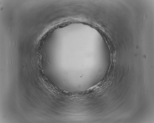 X0000070361496200606301817