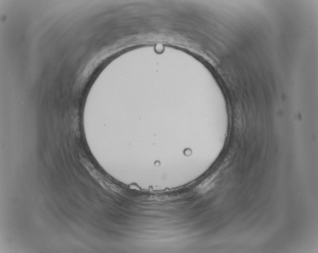 X0000070361499200606301817