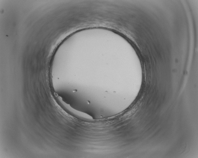 X0000070361500200606301817