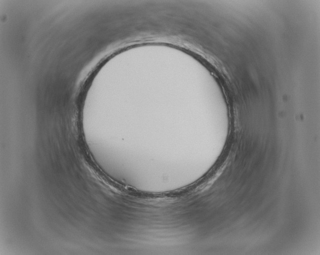 X0000070361502200606301817