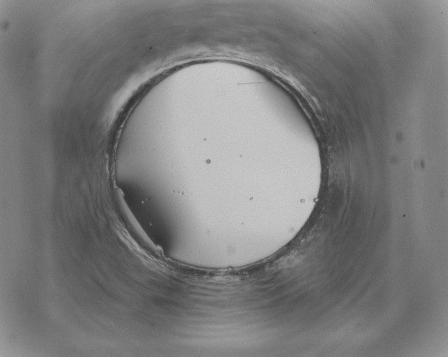 X0000070361503200606301818