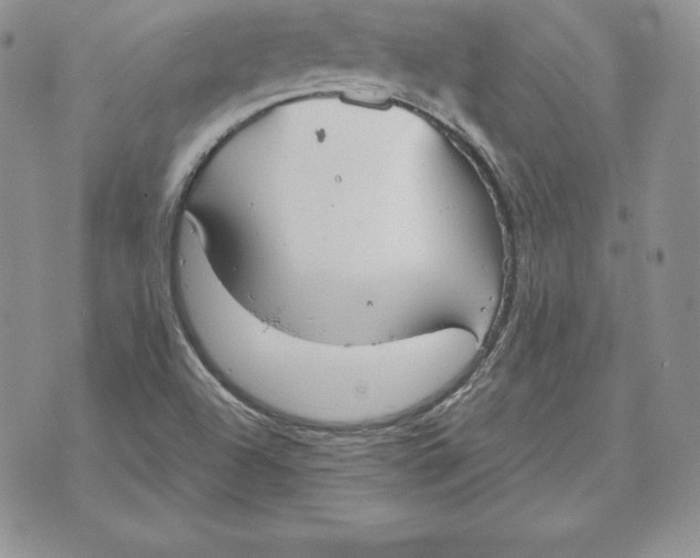 X0000070361504200606301818