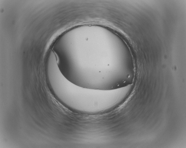 X0000070361506200606301818