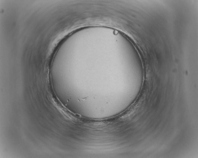 X0000070361507200606301818