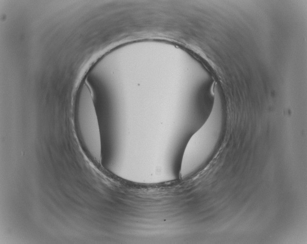 X0000070361508200606301818