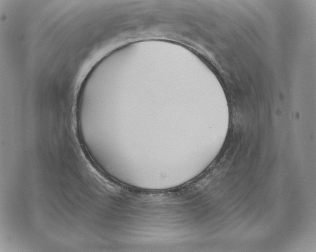 X0000070361512200606301818