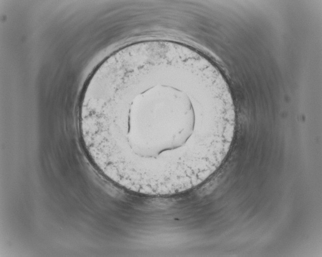 X0000070361514200606301818