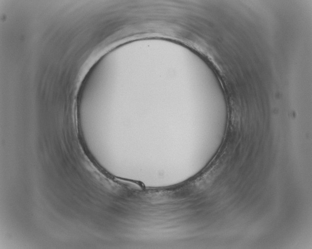 X0000070361516200606301818