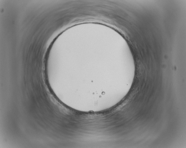 X0000070361518200606301818