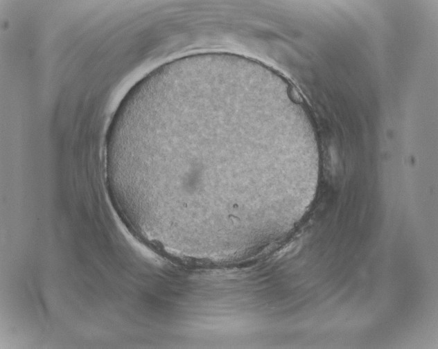 X0000070361519200606301818