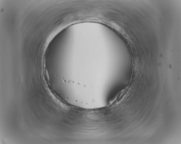 X0000070361520200606301818