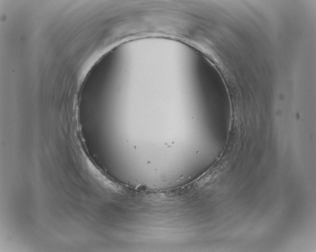 X0000070361524200606301818