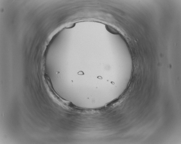 X0000070361526200606301818