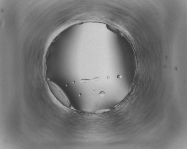 X0000070361528200606301818