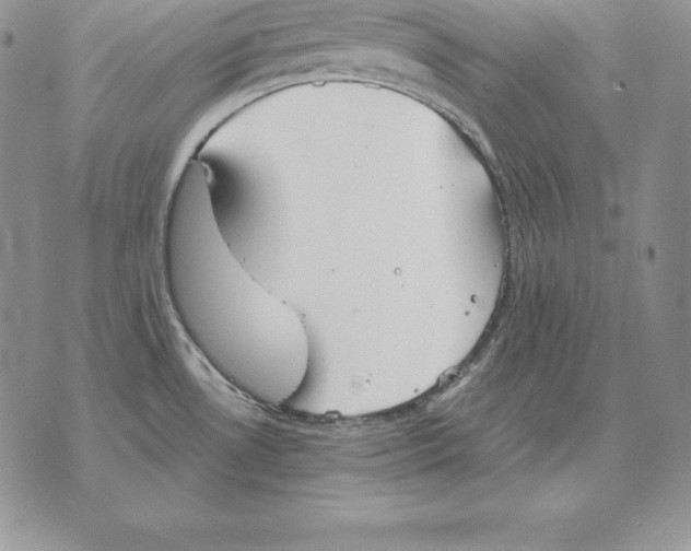 X0000070361530200606301818