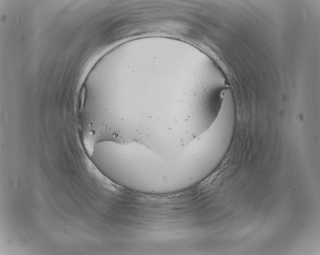 X0000070361532200606301818