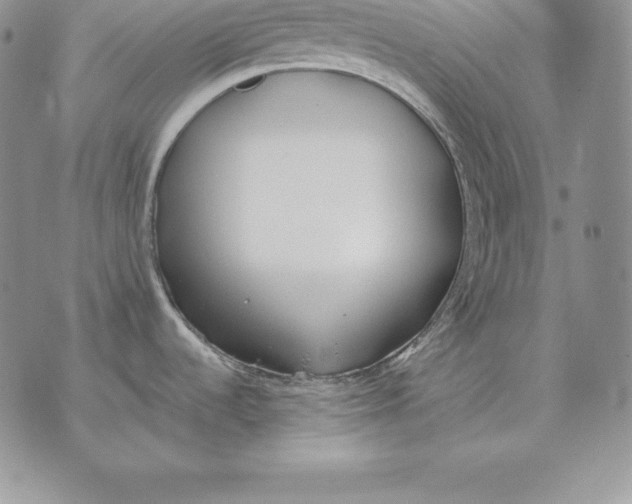 X0000070361536200606301818