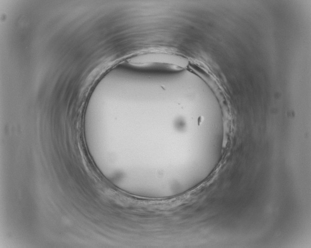 X0000070360001200607072115