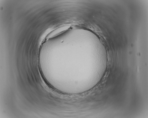 X0000070360003200607072115