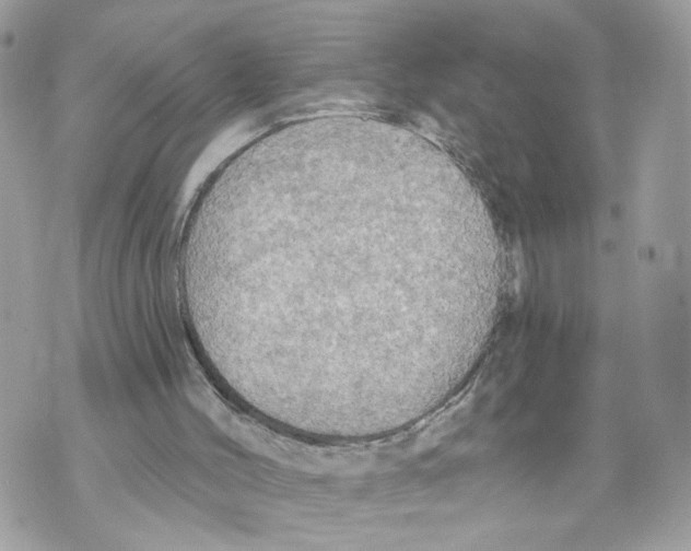 X0000070360004200607072115