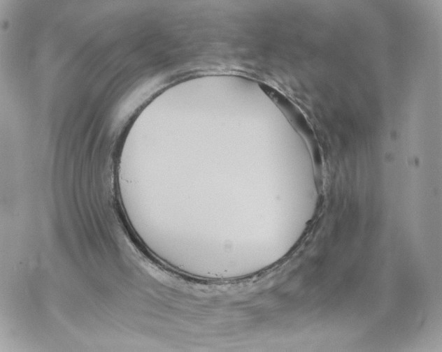 X0000070360005200607072115