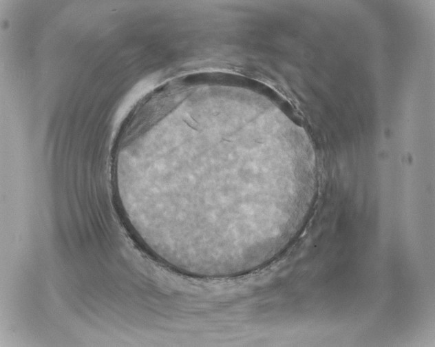 X0000070360006200607072115