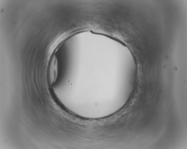 X0000070360007200607072115