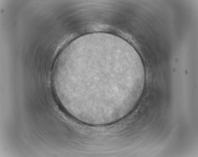 X0000070360010200607072115