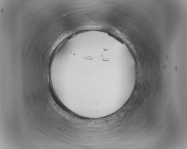 X0000070360011200607072115