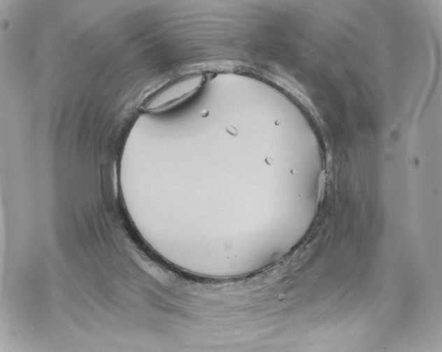 X0000070360013200607072115