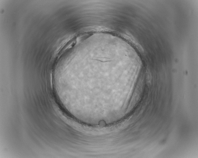 X0000070360014200607072115