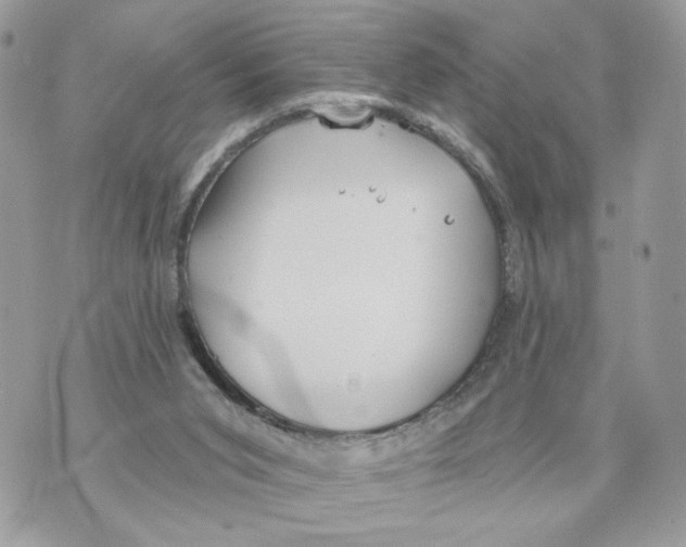 X0000070360015200607072115