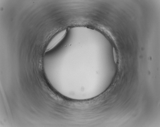 X0000070360017200607072115