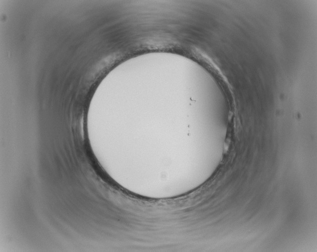 X0000070360019200607072114