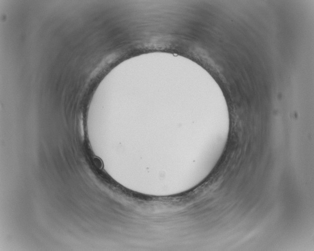 X0000070360020200607072114