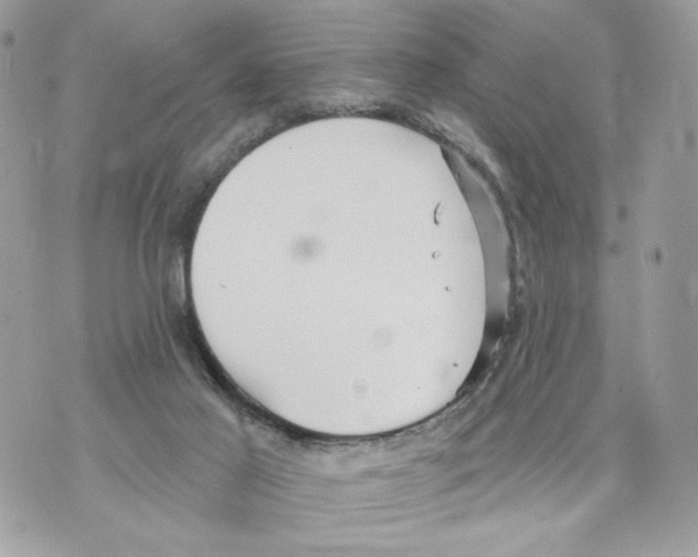 X0000070360021200607072114