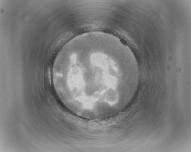 X0000070360022200607072114