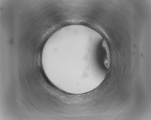 X0000070360023200607072114