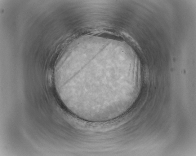 X0000070360026200607072114