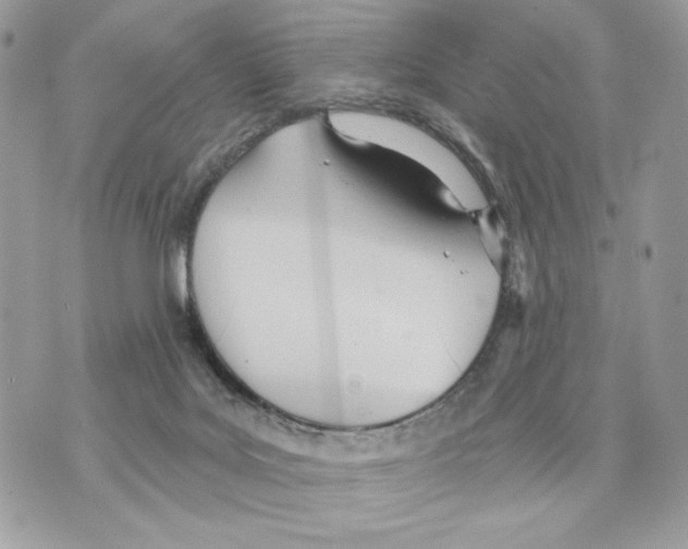 X0000070360027200607072114