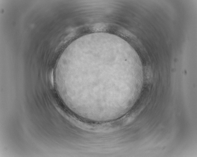 X0000070360028200607072114