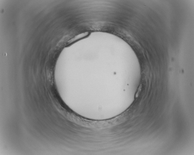 X0000070360031200607072114