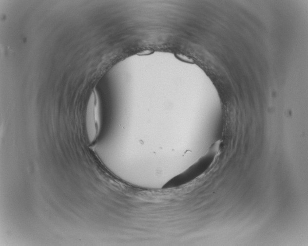 X0000070360033200607072114