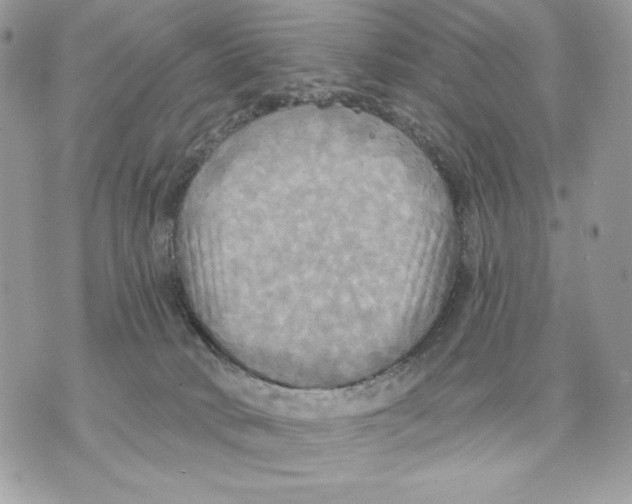 X0000070360034200607072114