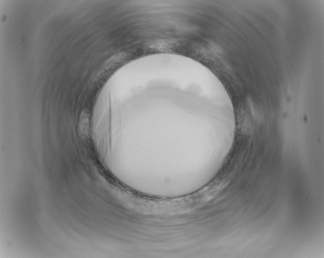 X0000070360036200607072114