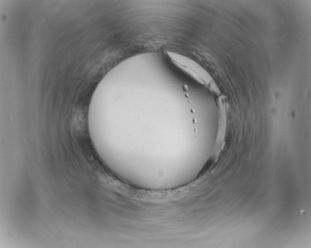 X0000070360037200607072114