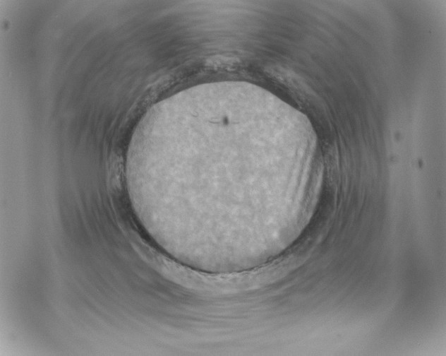 X0000070360038200607072114