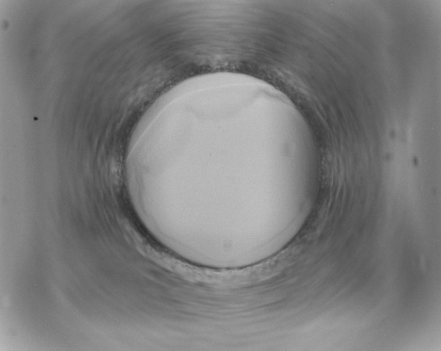 X0000070360039200607072114