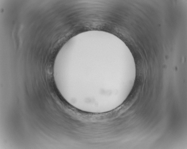 X0000070360040200607072114