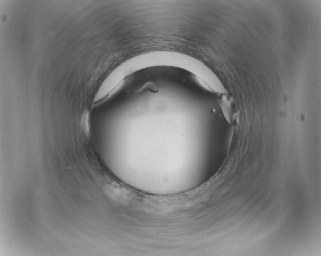 X0000070360041200607072114